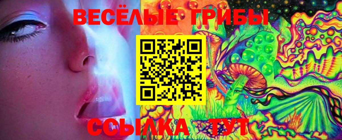 Псилоцибиновые грибы мицелий  Вход с VPN  Москва  Галлюциногенные грибы Magic Shrooms 