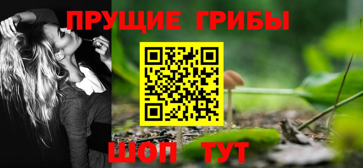 Псилоцибиновые грибы Psilocybe Москва